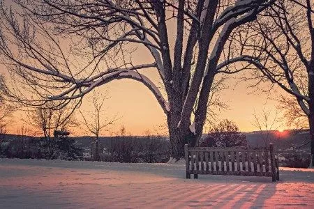 Wintersonnenuntergang - Gedanken (Bild von gratisography)